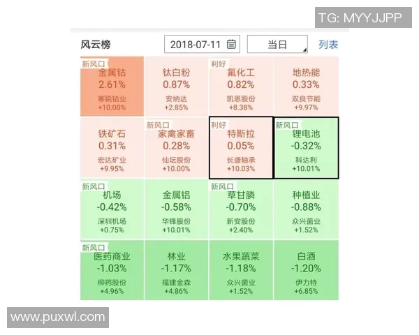 西安排球队的节奏分析与排球热点解读探讨