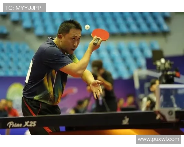 专访赵静：深入探讨乒乓球背后的成功秘诀与训练心得