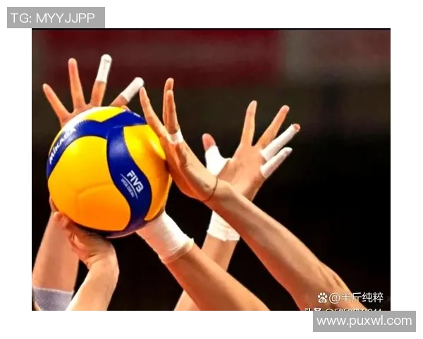 杭州排球队意识变革引发热议助力排球运动新发展