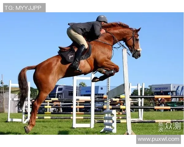 深圳足球队世锦赛逆袭之旅背后的奋斗与荣耀故事