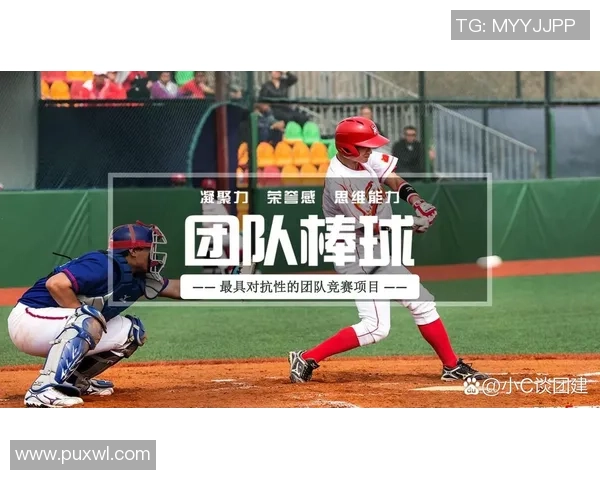 团结奋进：杭州排球队如何通过团队协作提升竞技水平