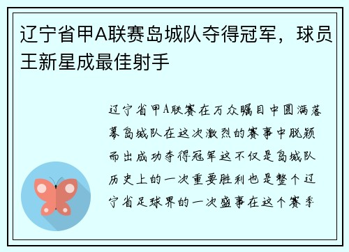 辽宁省甲A联赛岛城队夺得冠军，球员王新星成最佳射手