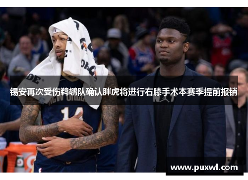 锡安再次受伤鹈鹕队确认胖虎将进行右膝手术本赛季提前报销