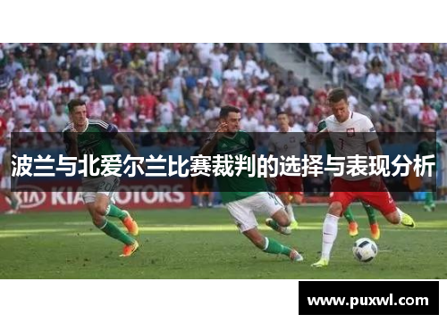 波兰与北爱尔兰比赛裁判的选择与表现分析